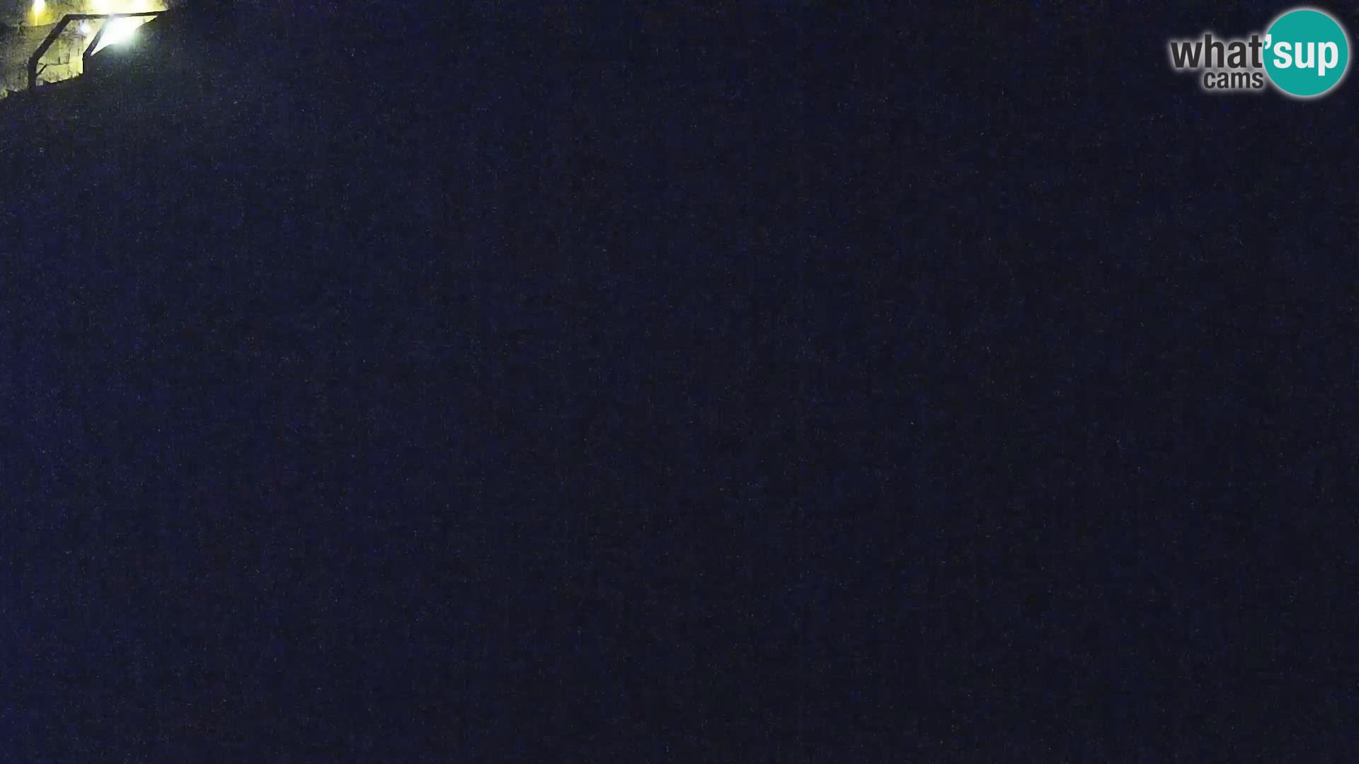 Živalski vrt Ljubljana kamera v živo Levi