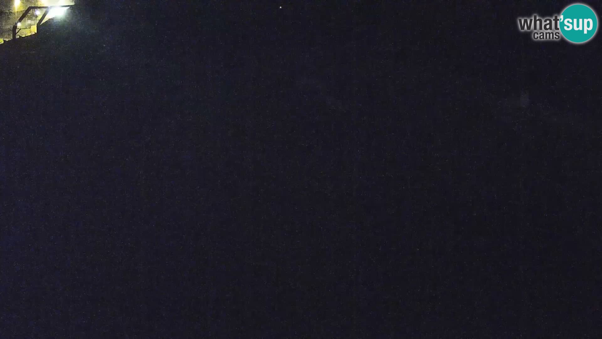 Zoo Ljubljana web kamera Lavovi