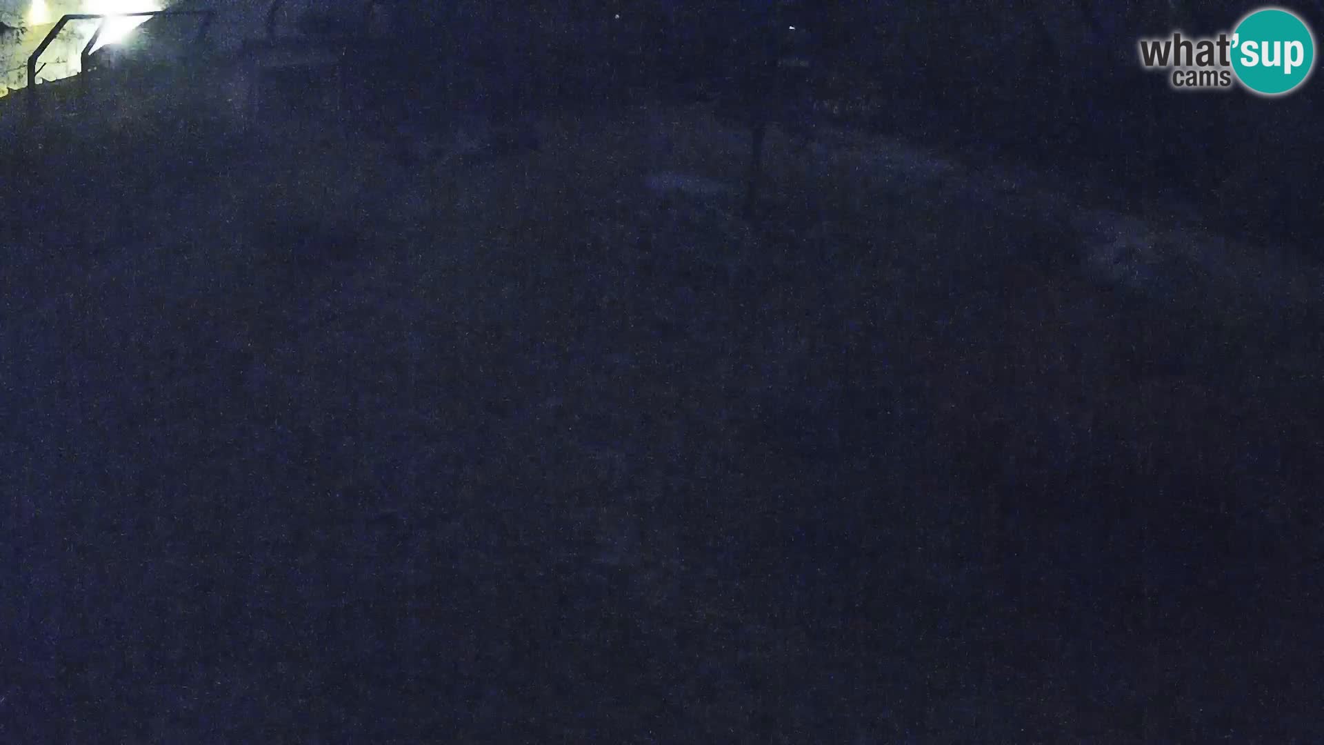 Zoo Ljubljana webcam Löwen