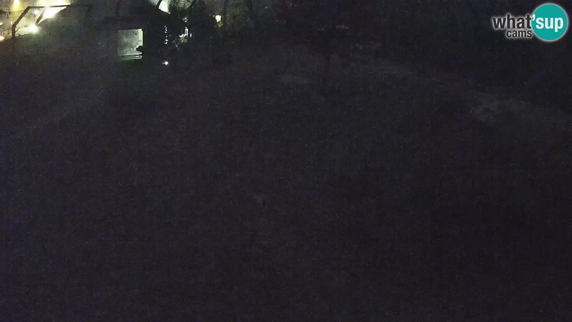 Zoo Lubiana live webcam Leoni