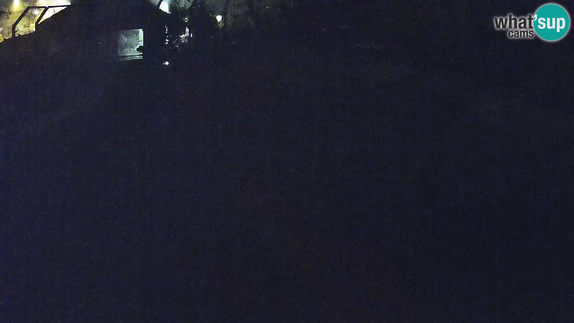 Zoo Lubiana live webcam Leoni