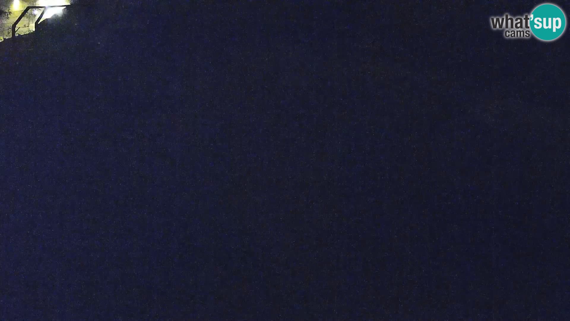 Zoo Ljubljana webcam Löwen