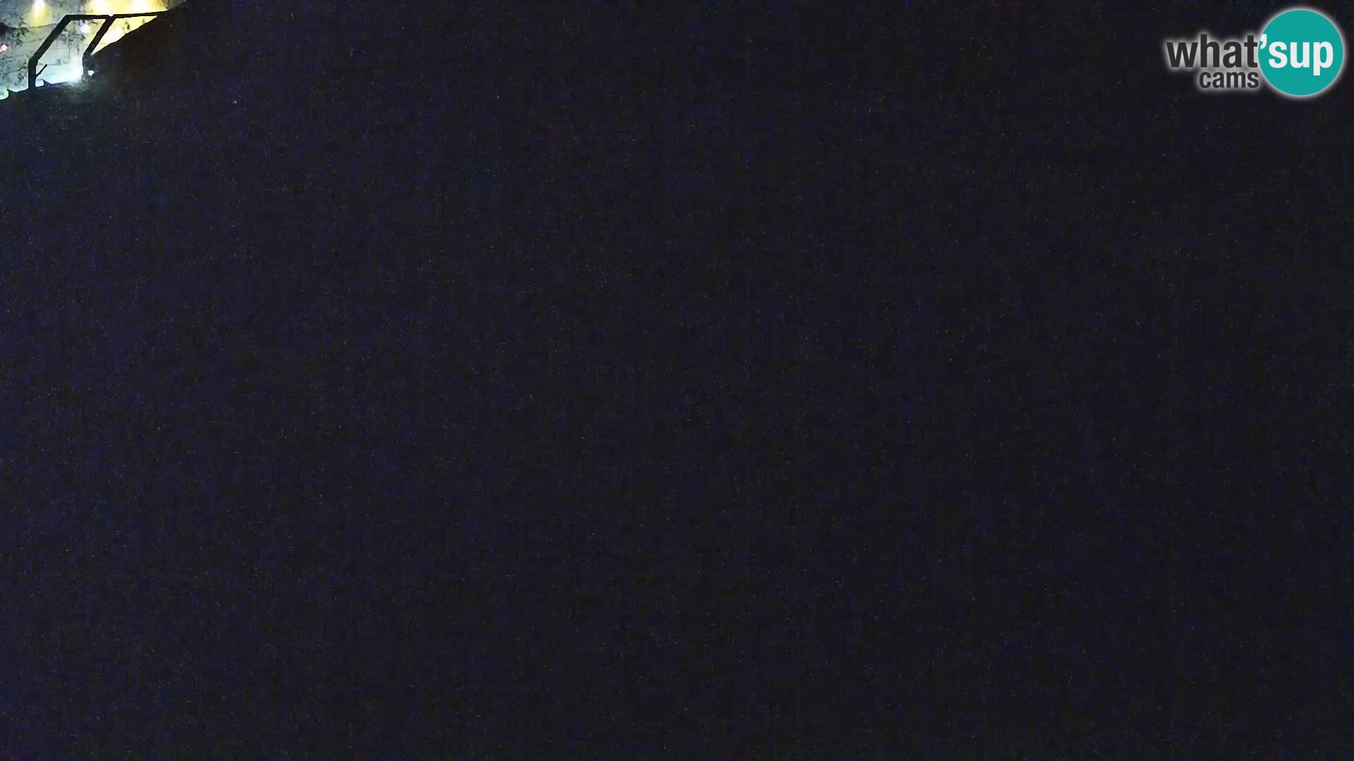 Živalski vrt Ljubljana kamera v živo Levi