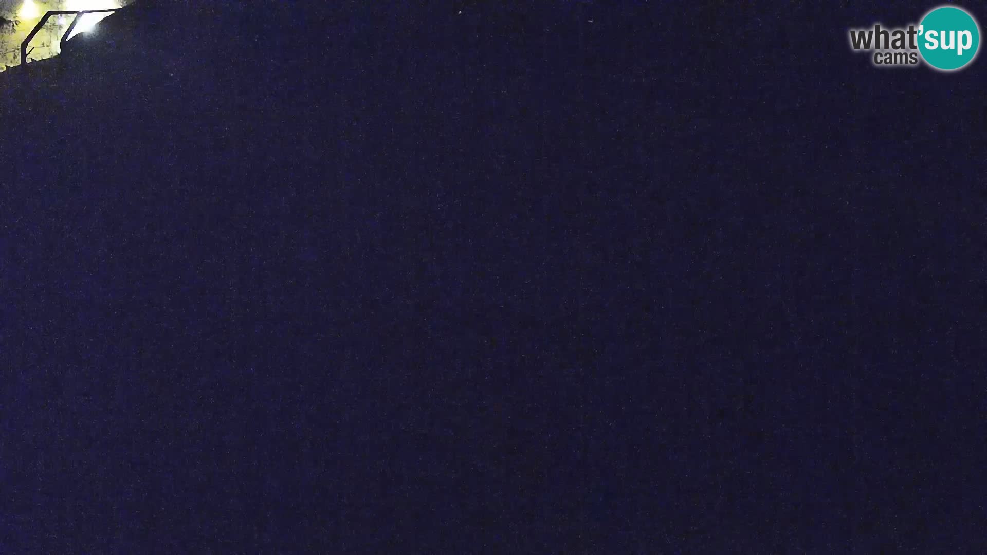 Live Ljubljana Zoo webcam Lion