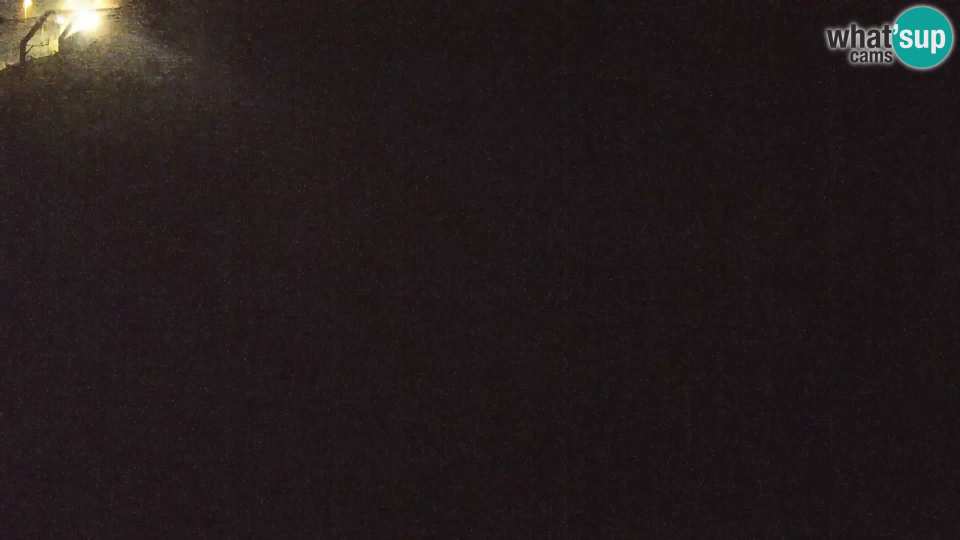 Zoo Ljubljana camera en vivo Leones