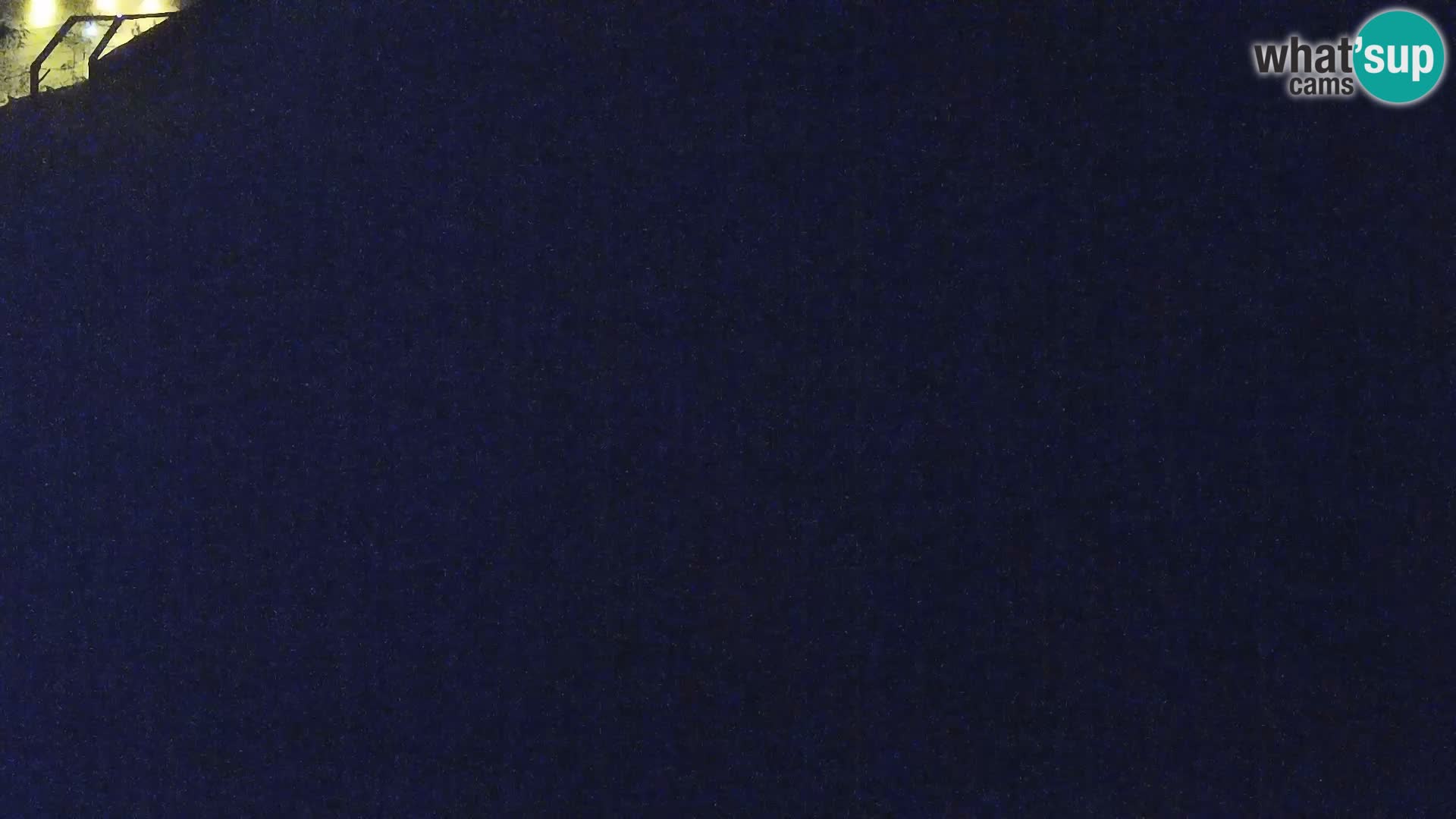 Live Ljubljana Zoo webcam Lion