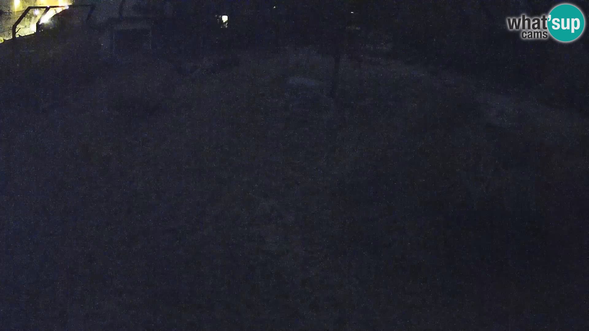 Zoo Ljubljana camera en vivo Leones