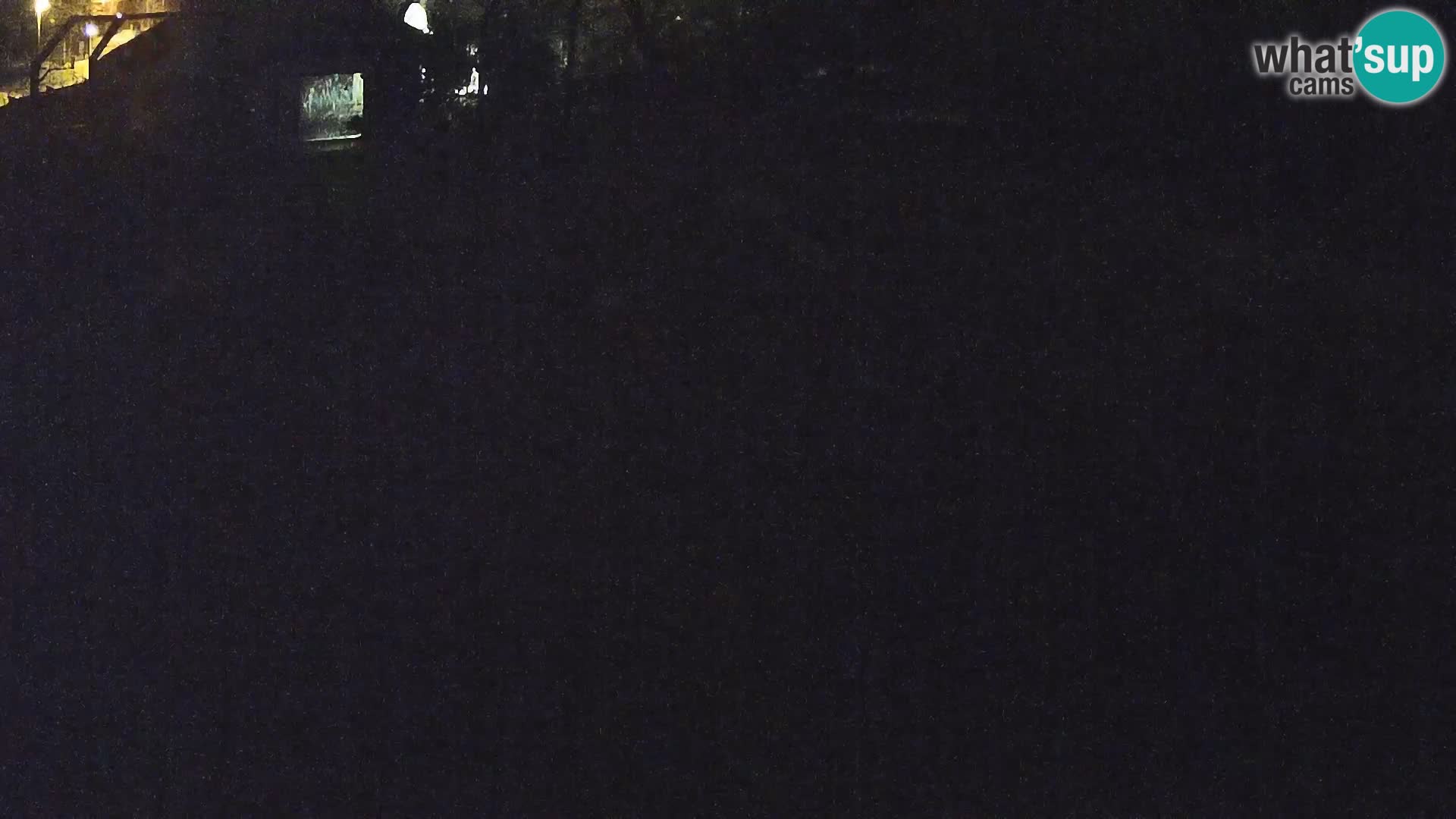 Live Ljubljana Zoo webcam Lion