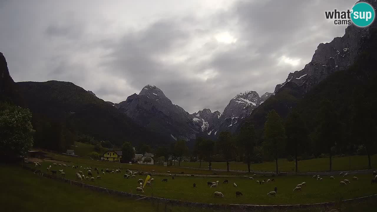 Spletna kamera Smučišče Log pod Mangartom – Bovec