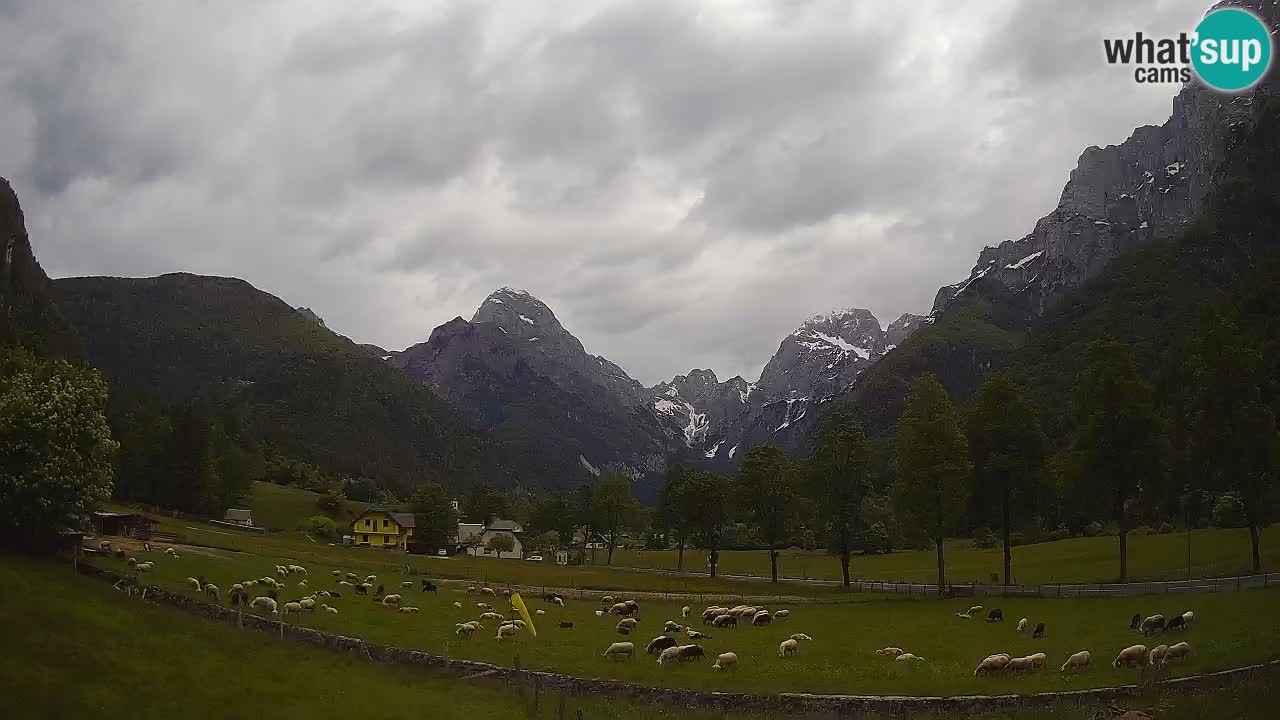 Spletna kamera Smučišče Log pod Mangartom – Bovec