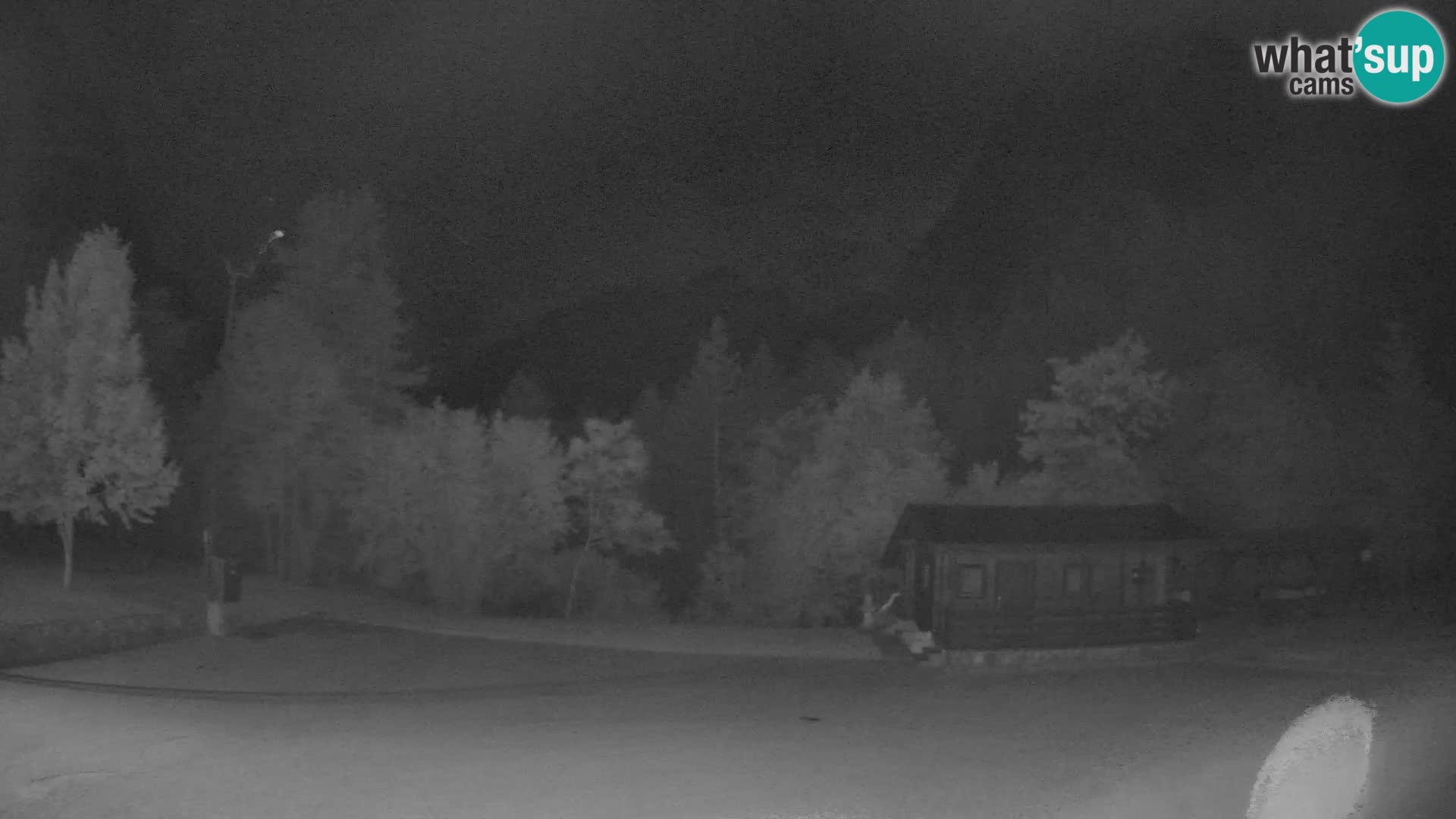 Log pod Mangartom webcam – Vista su Jerebica e Rombon – Bovec – Slovenia