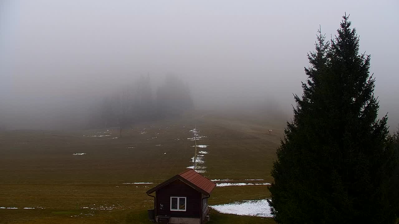 Webcam Lokve – Die Schönheit des Trnovo-Waldes