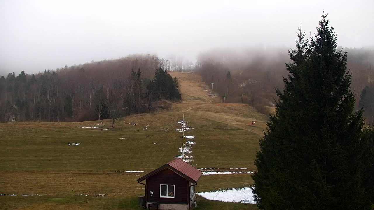 Webcam Loqua / Lokve – La bellezza della selva di Tarnova