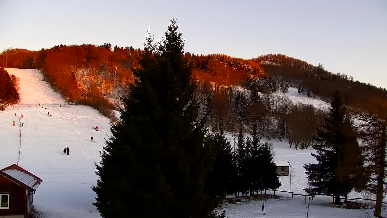 Webcam Lokve – The beauty of the Trnovo forest