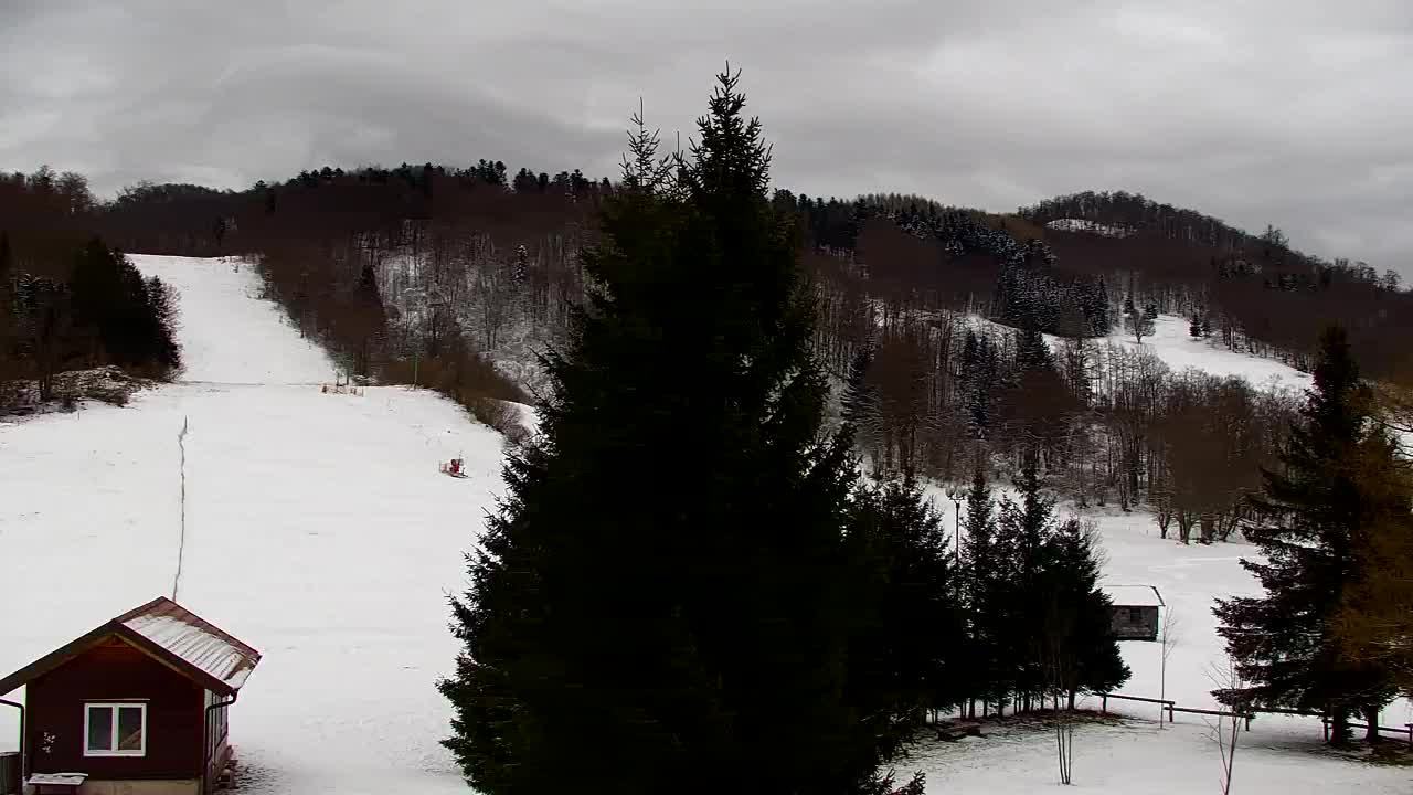 Webcam Lokve – The beauty of the Trnovo forest