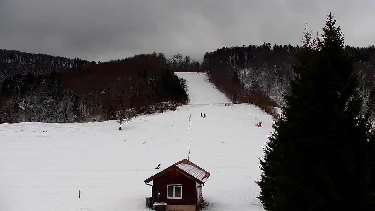 Webcam Lokve – La beauté de la forêt de Trnovo