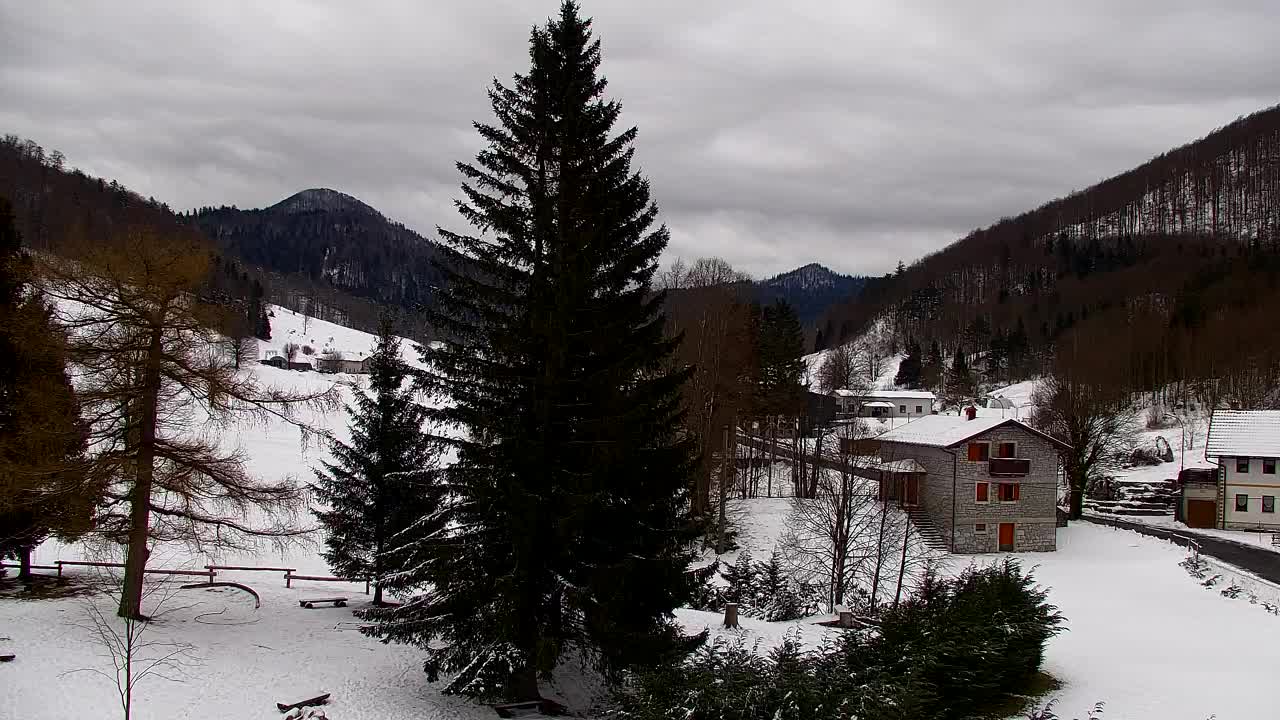 Webcam Lokve – La beauté de la forêt de Trnovo