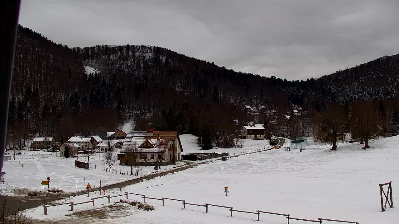 Webcam Lokve – The beauty of the Trnovo forest