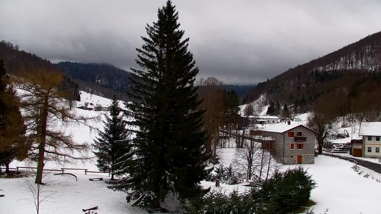 Webcam Lokve – La beauté de la forêt de Trnovo