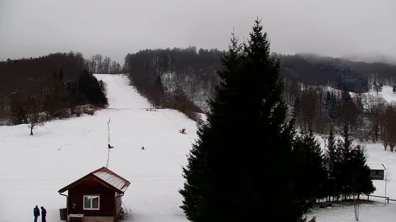 Webcam Lokve – The beauty of the Trnovo forest