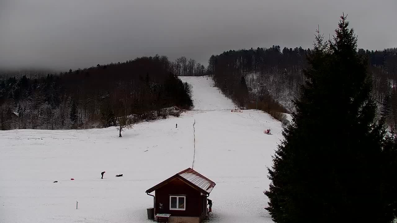 Webcam Lokve – La beauté de la forêt de Trnovo