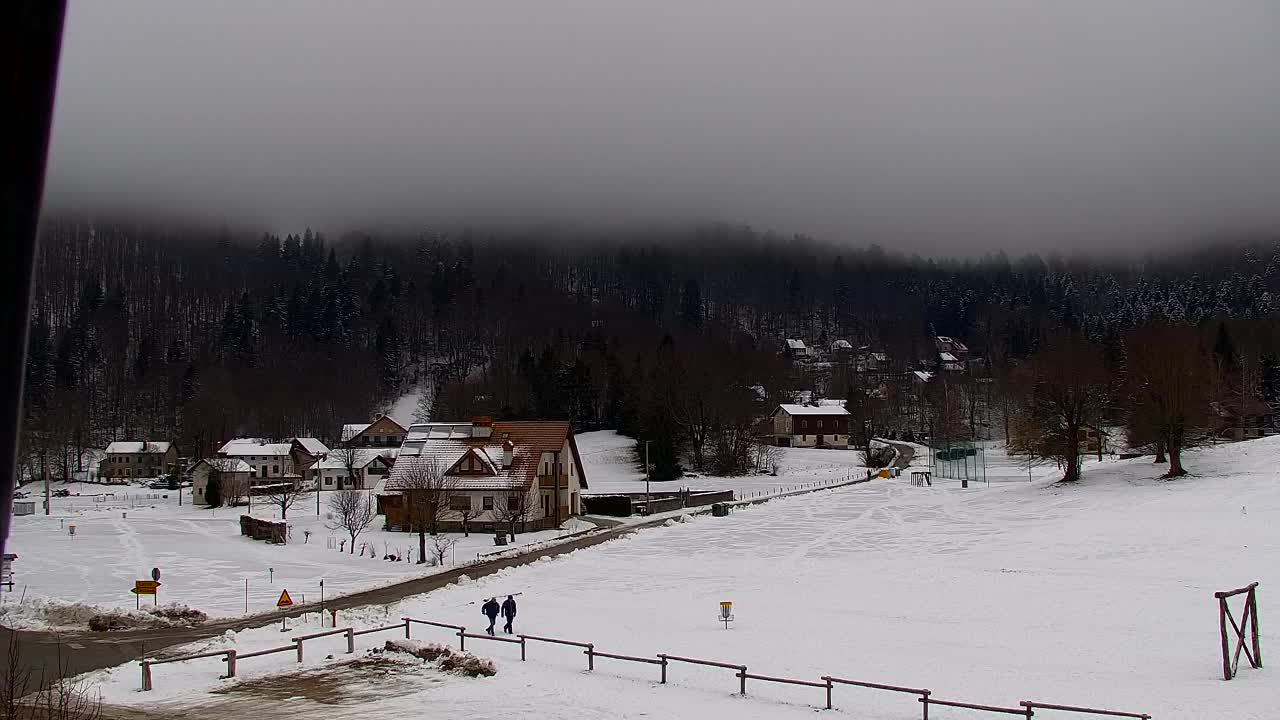 Webcam Lokve – The beauty of the Trnovo forest