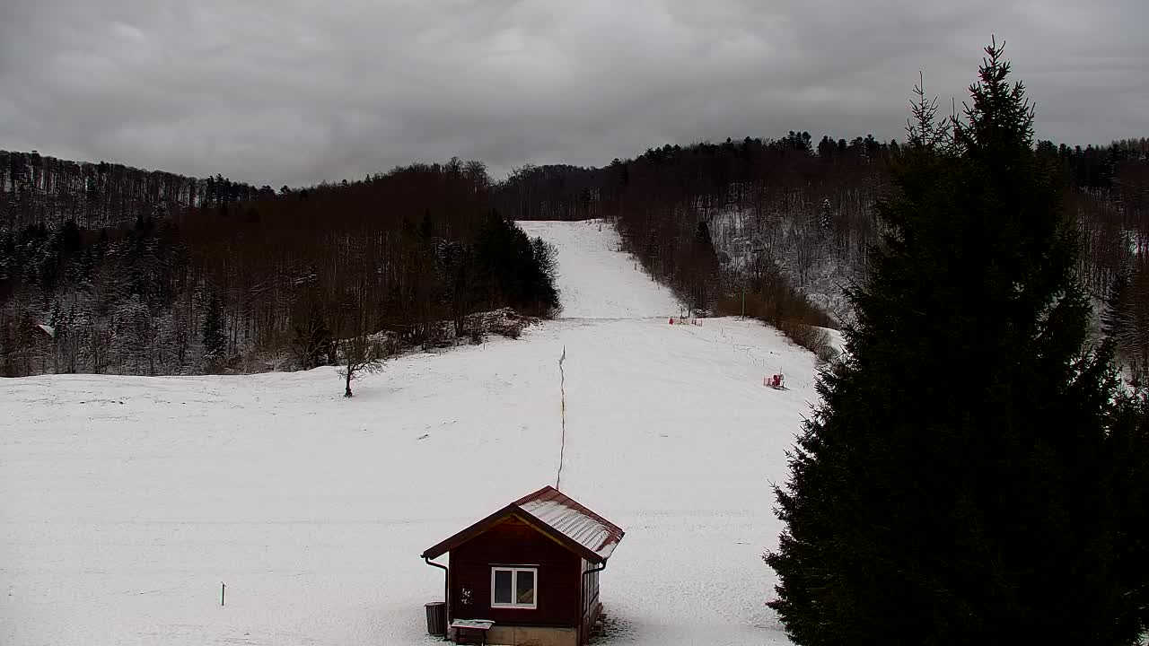 Webcam Lokve – The beauty of the Trnovo forest