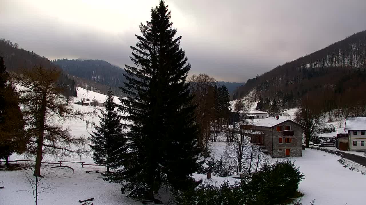 Webcam Lokve – La beauté de la forêt de Trnovo