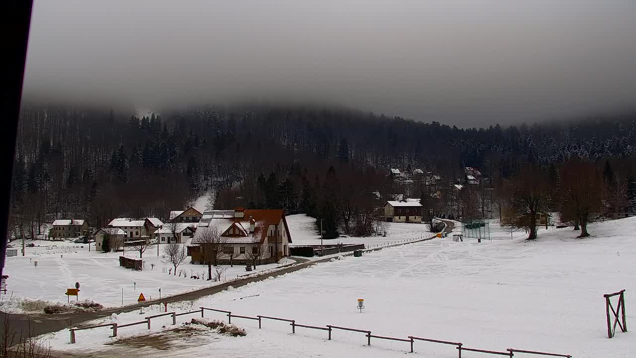 Webcam Lokve – The beauty of the Trnovo forest