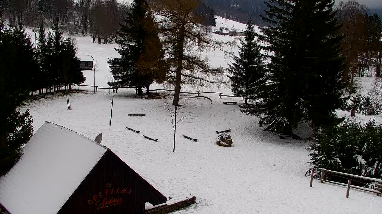 Webcam Lokve – The beauty of the Trnovo forest