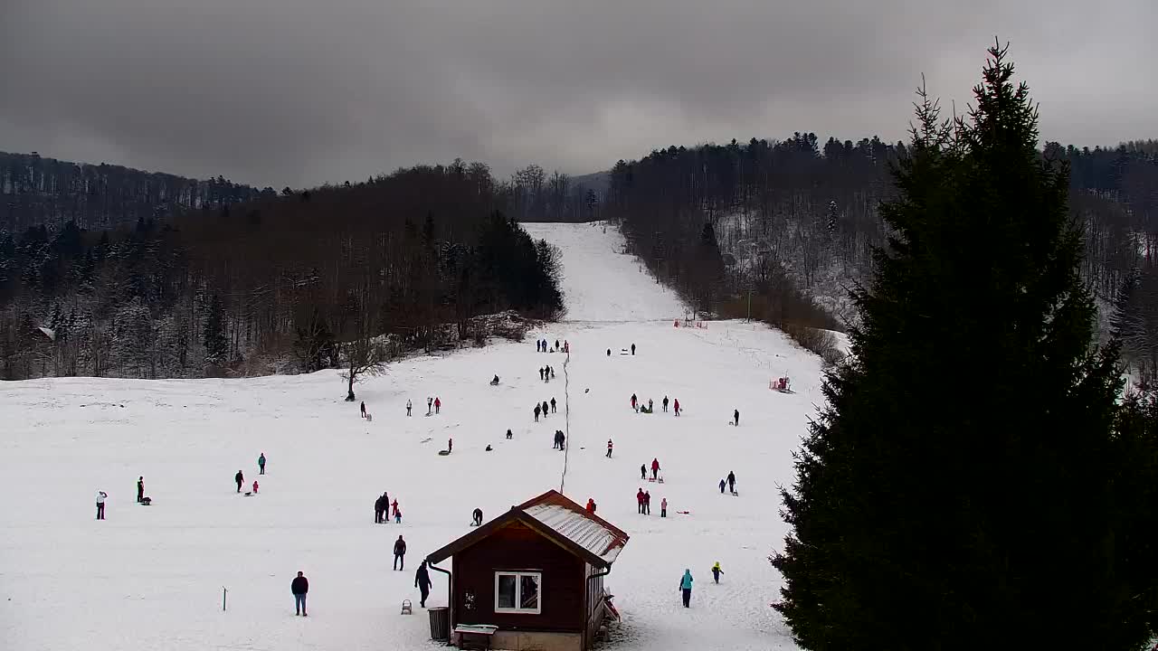 Webcam Lokve – The beauty of the Trnovo forest