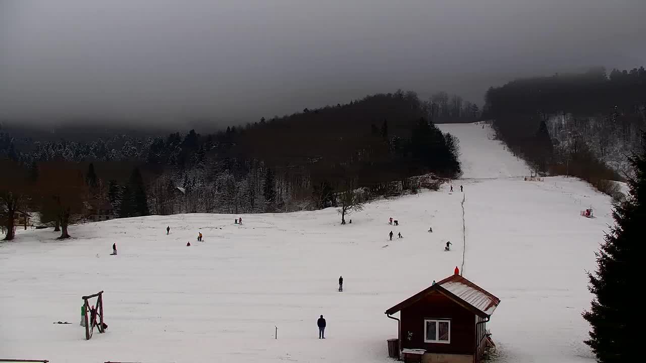 Webcam Lokve – La beauté de la forêt de Trnovo