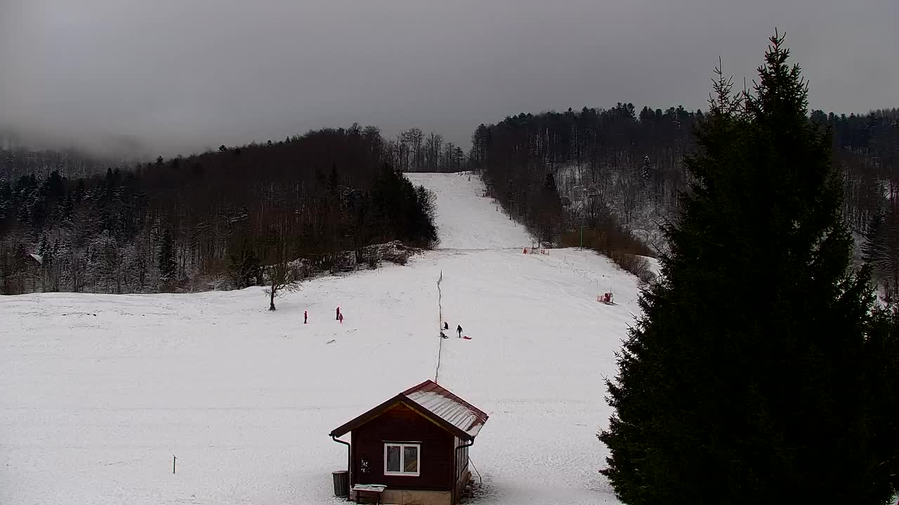 Webcam Lokve – La beauté de la forêt de Trnovo