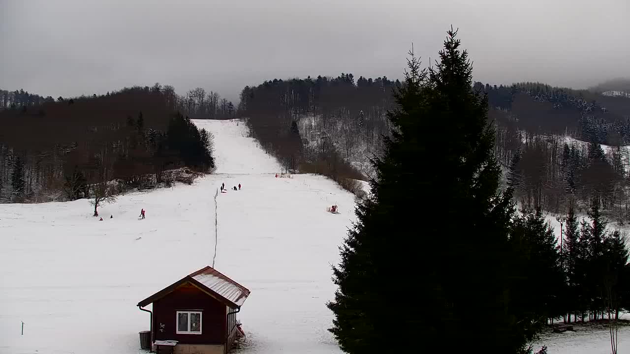 Webcam Lokve – The beauty of the Trnovo forest