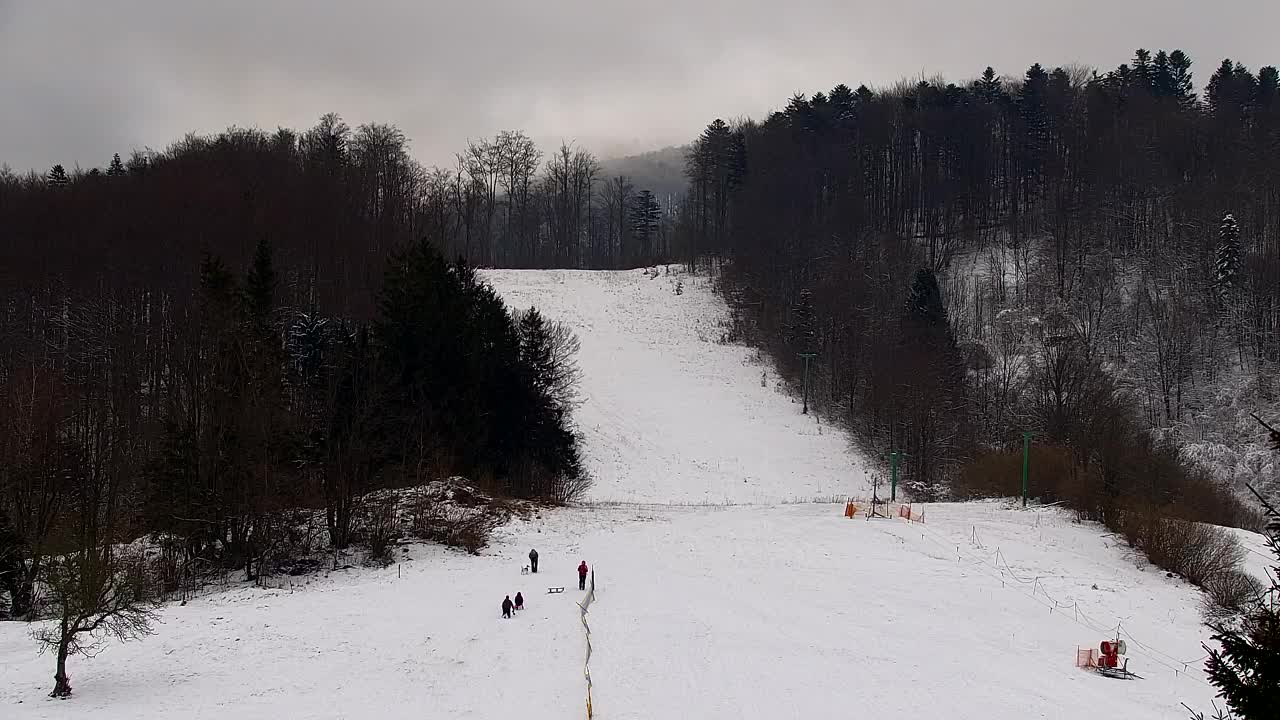 Webcam Lokve – The beauty of the Trnovo forest