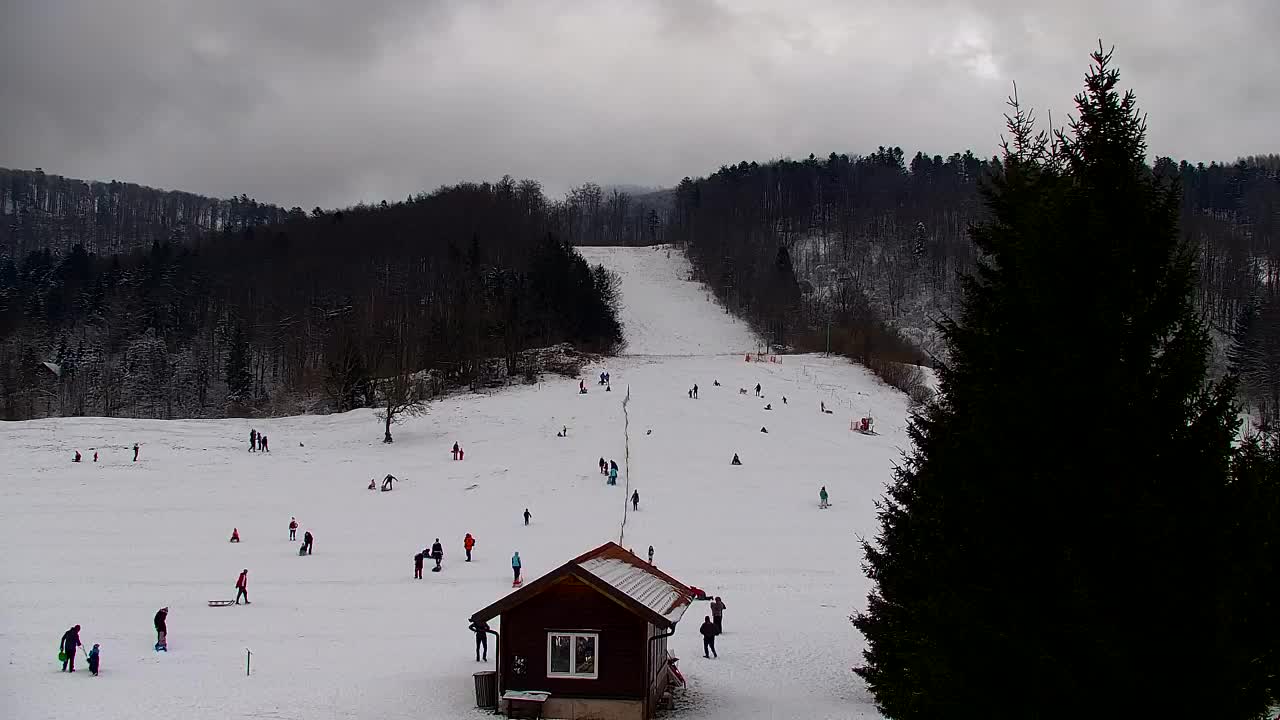 Webcam Lokve – The beauty of the Trnovo forest