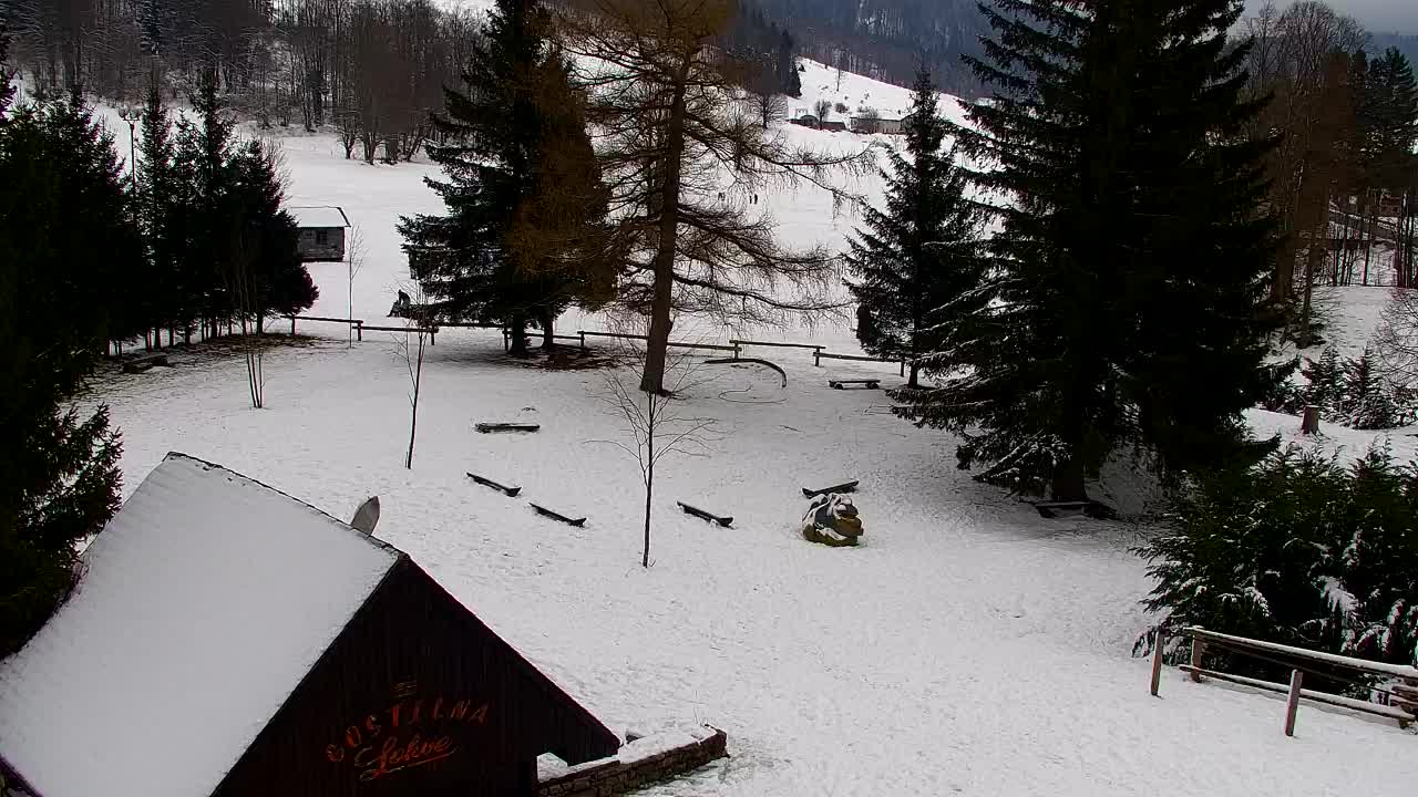 Webcam Lokve – La beauté de la forêt de Trnovo