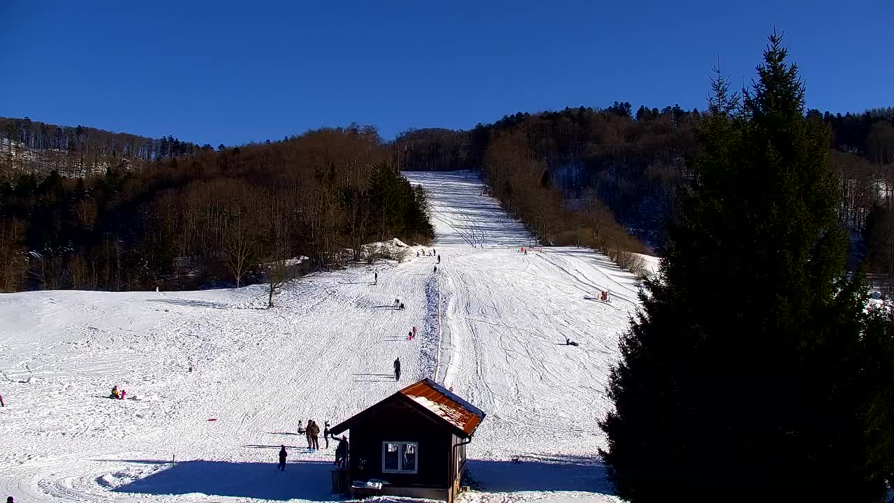 Webcam Lokve – The beauty of the Trnovo forest