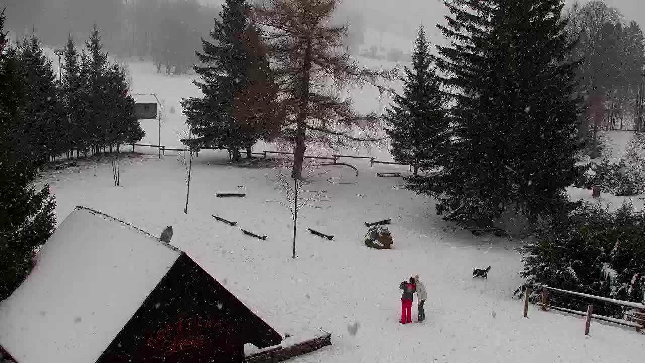 Webcam Lokve – La beauté de la forêt de Trnovo