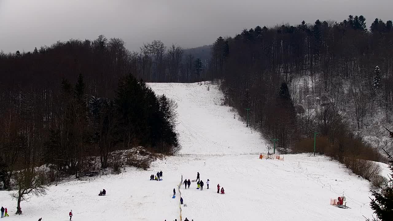 Webcam Lokve – La beauté de la forêt de Trnovo