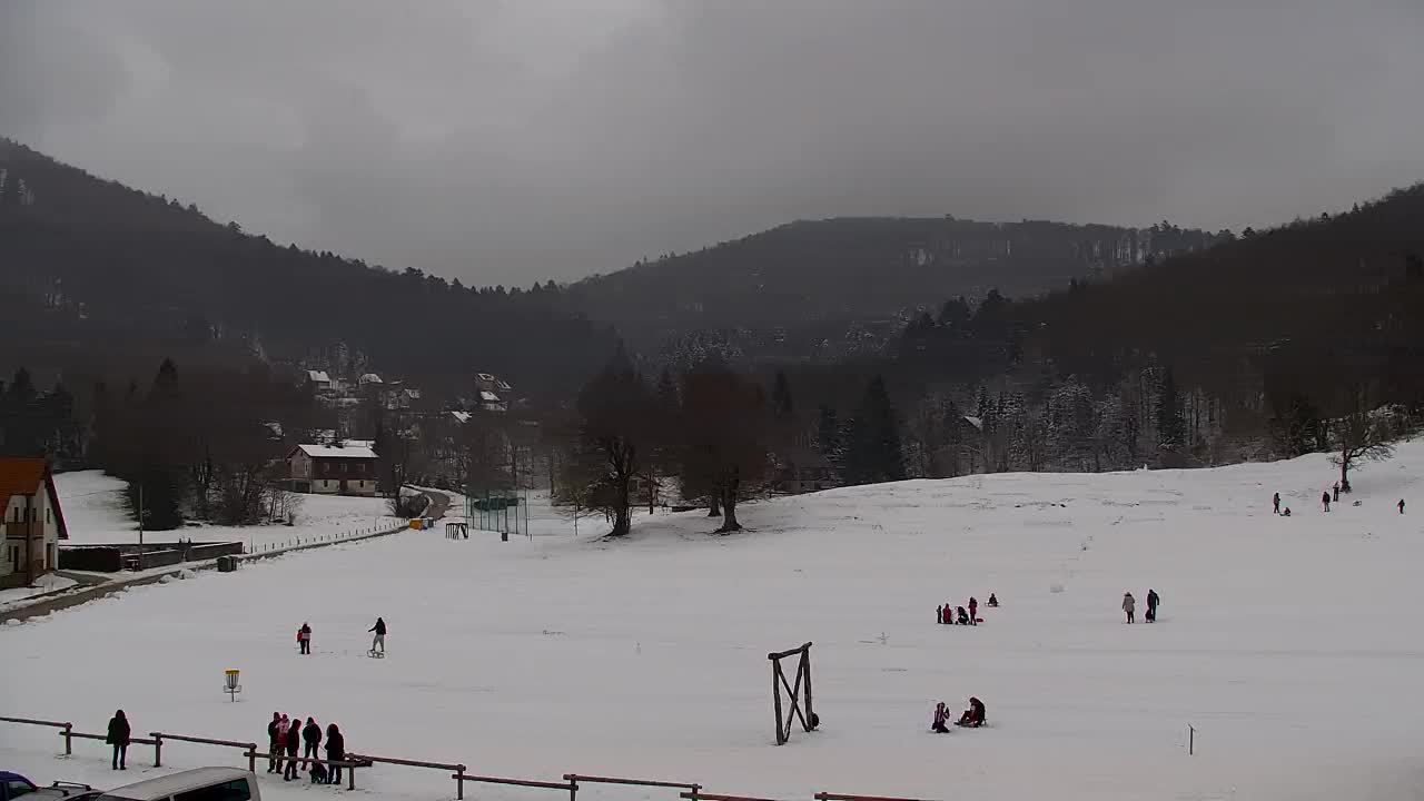 Webcam Lokve – The beauty of the Trnovo forest