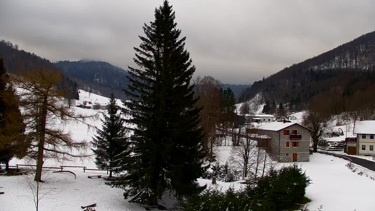 Webcam Lokve – La beauté de la forêt de Trnovo