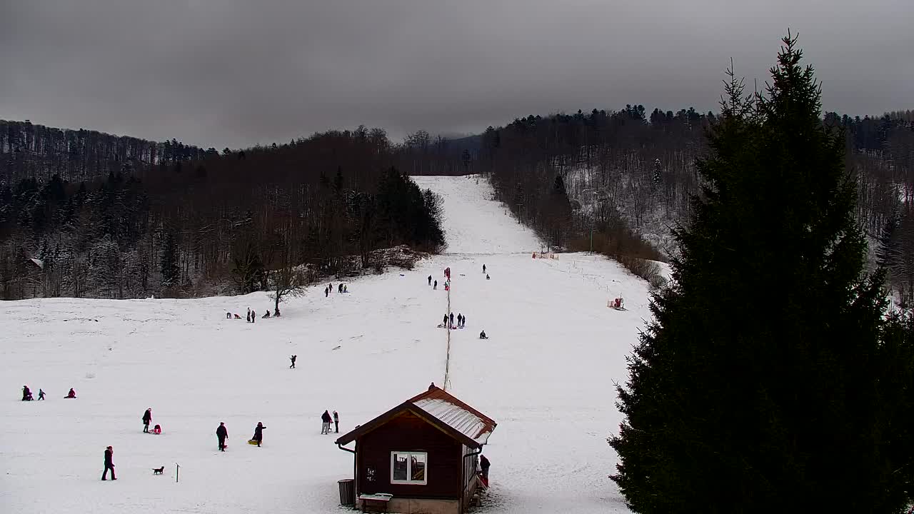 Webcam Lokve – The beauty of the Trnovo forest