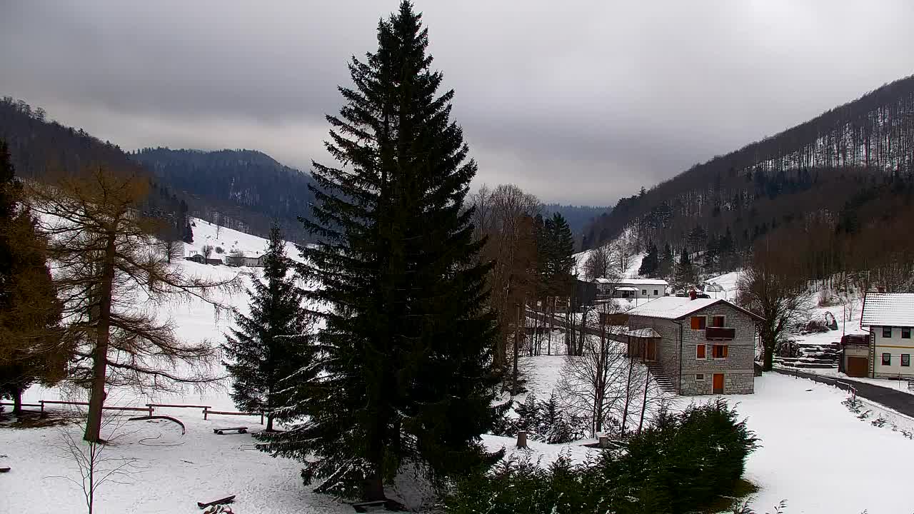 Webcam Lokve – The beauty of the Trnovo forest