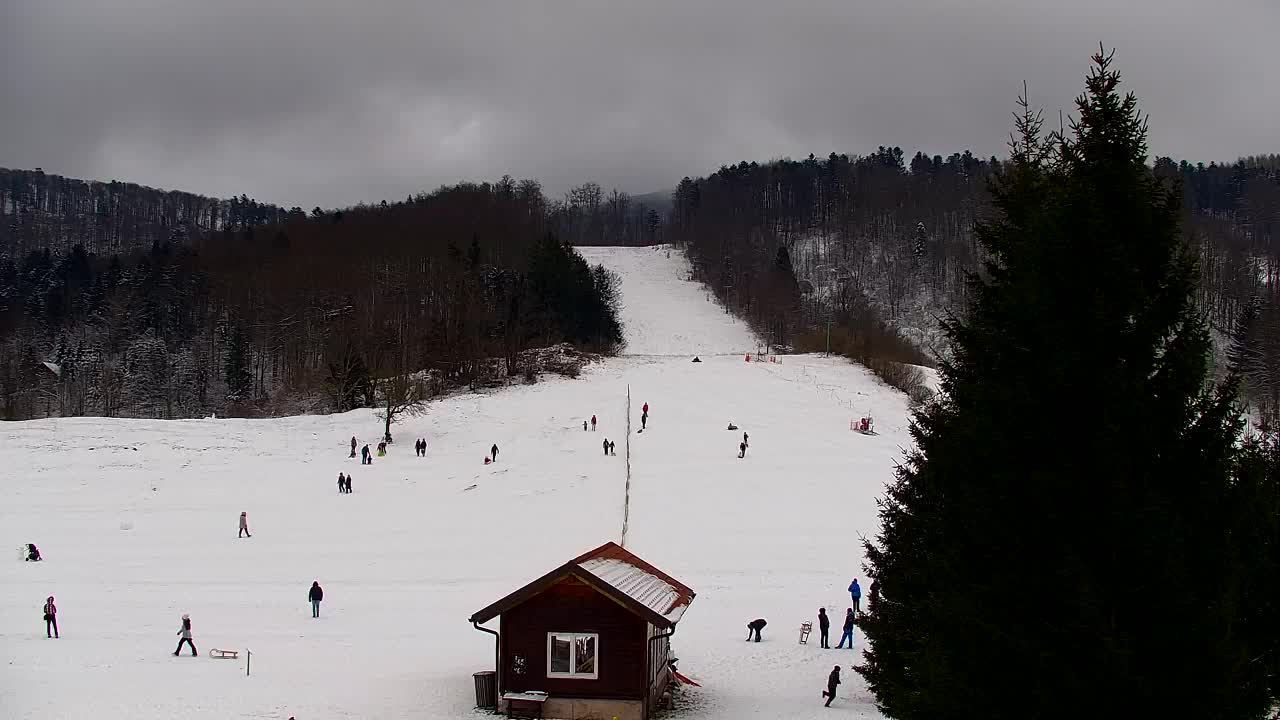 Webcam Lokve – La beauté de la forêt de Trnovo