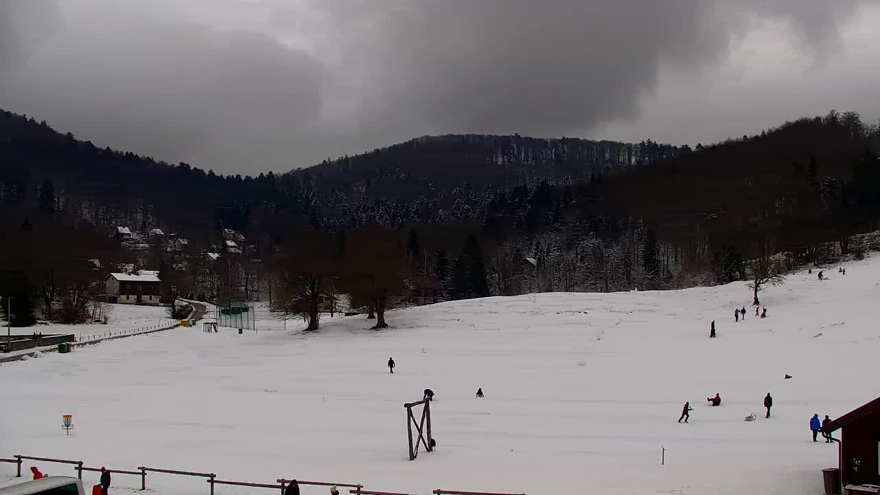 Webcam Lokve – La beauté de la forêt de Trnovo