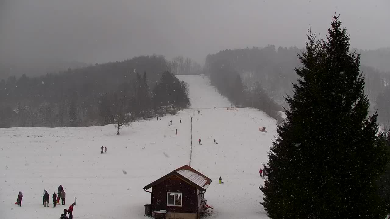 Webcam Lokve – La beauté de la forêt de Trnovo