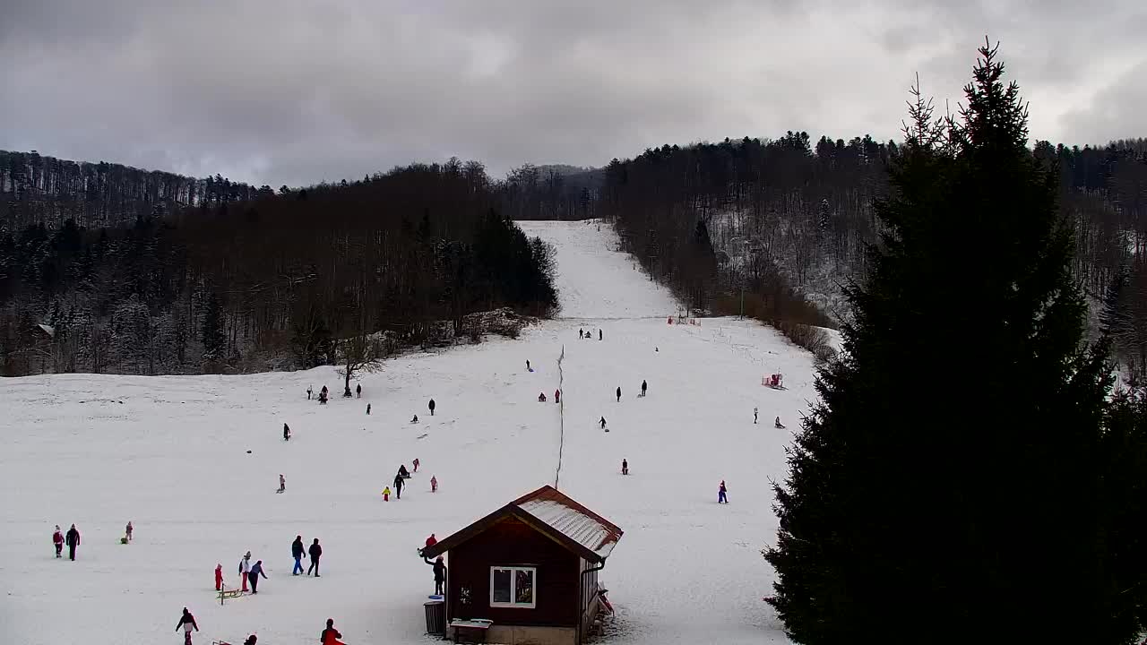 Webcam Lokve – La beauté de la forêt de Trnovo