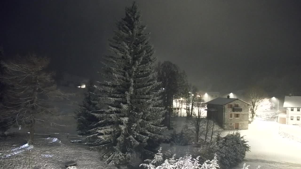 Webcam Lokve – La beauté de la forêt de Trnovo