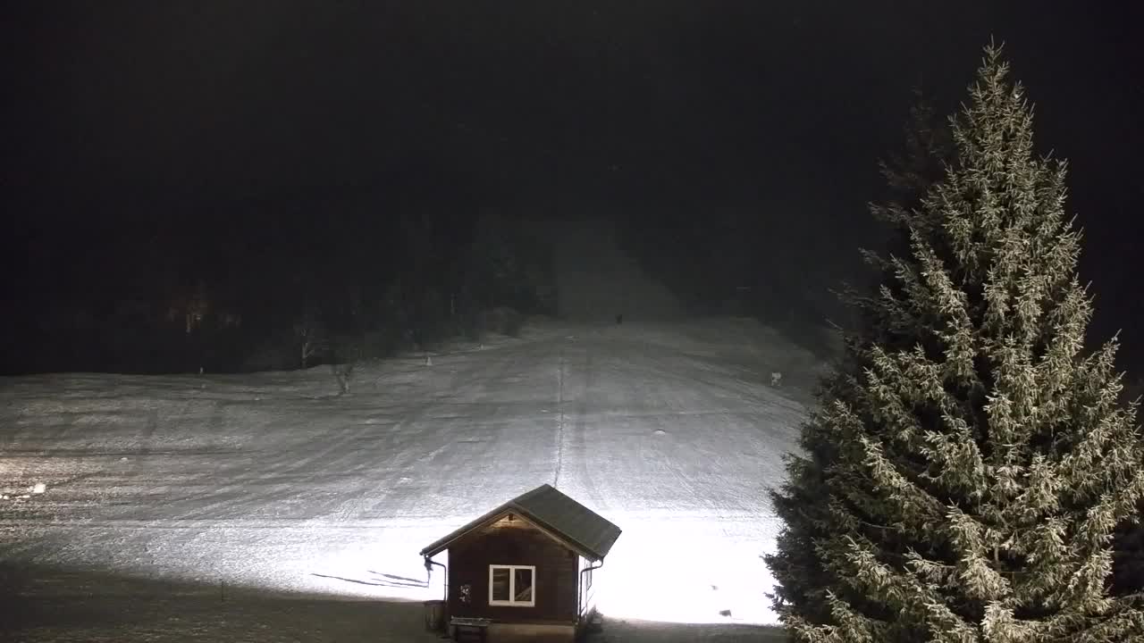 Webcam Lokve – La beauté de la forêt de Trnovo